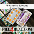 Africa Black Ant Capsule new12